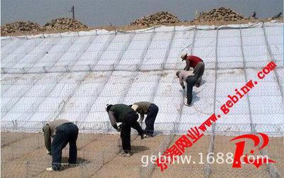 河南濮陽濱河應(yīng)用雷諾護(hù)墊工程